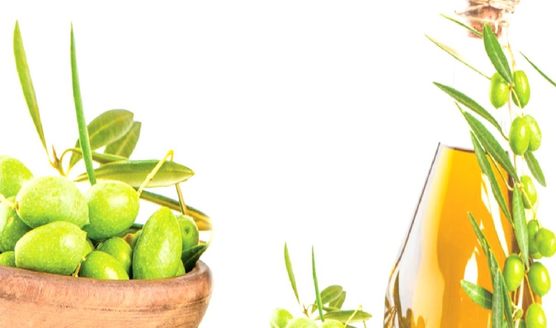 Zeytinyağında rekolte tahminleri ve sahtecilik sorunları hakkında kapsamlı bilgiler edinin.