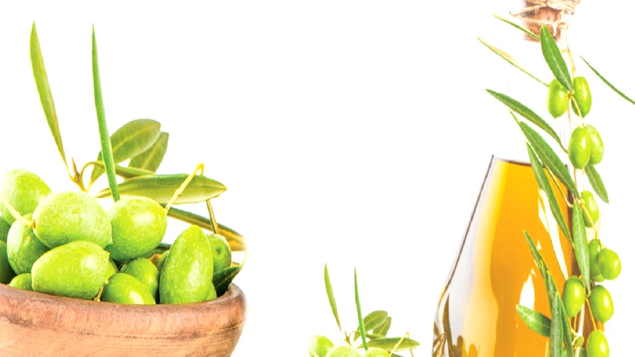 Zeytinyağında rekolte tahminleri ve sahtecilik sorunları hakkında kapsamlı bilgiler edinin.