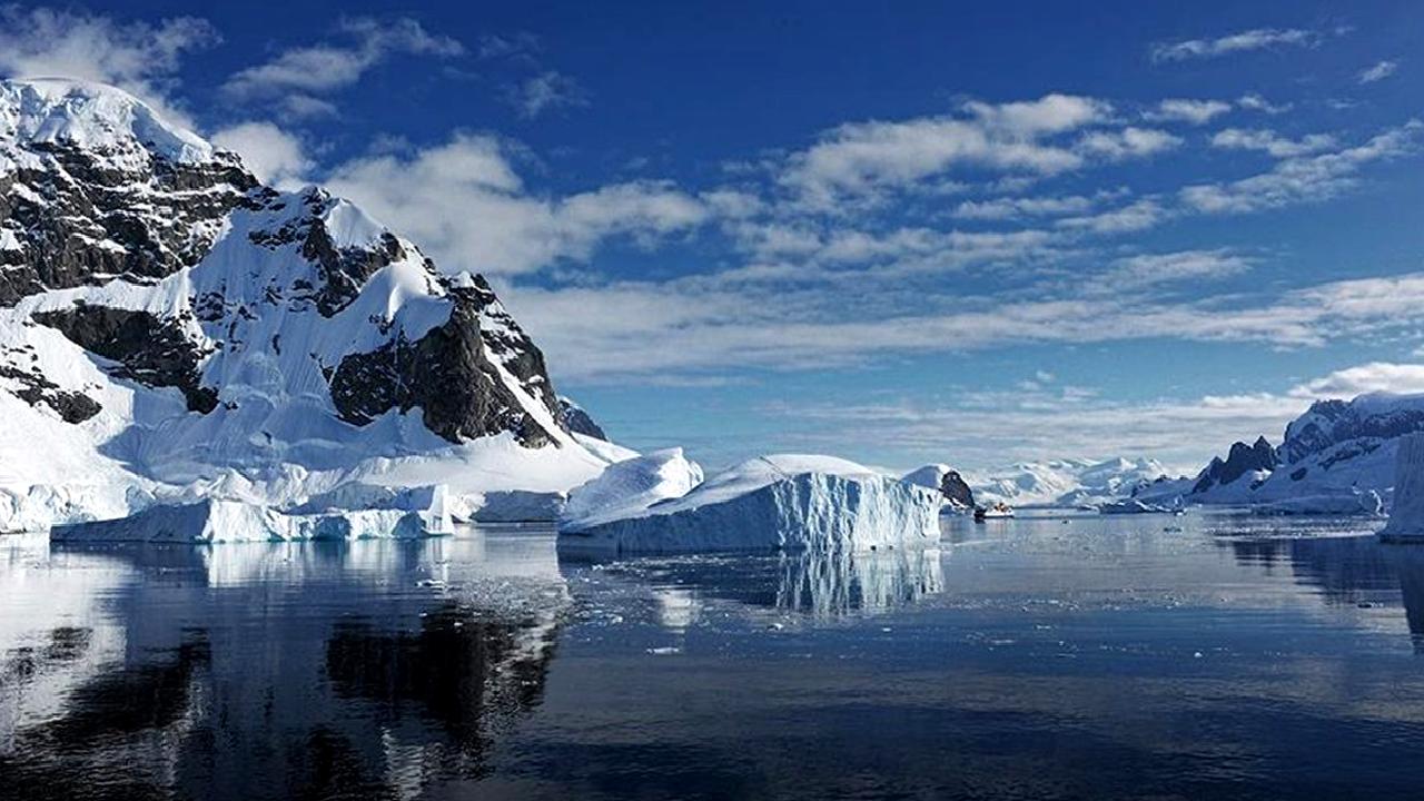 Ağaç dikmenin Arktika'daki küresel ısınmaya etkisini keşfedin. Bu önemli çevre