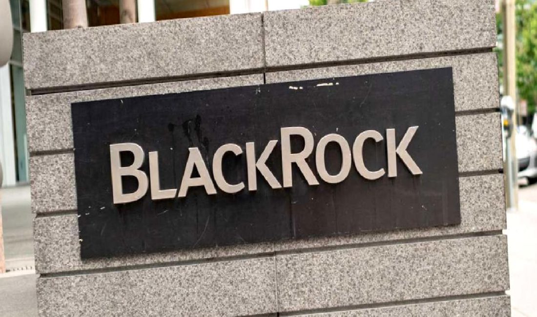 BlackRock'ın Spot Bitcoin ETF'sinin başarıları ve pazar üzerindeki etkileri, kripto