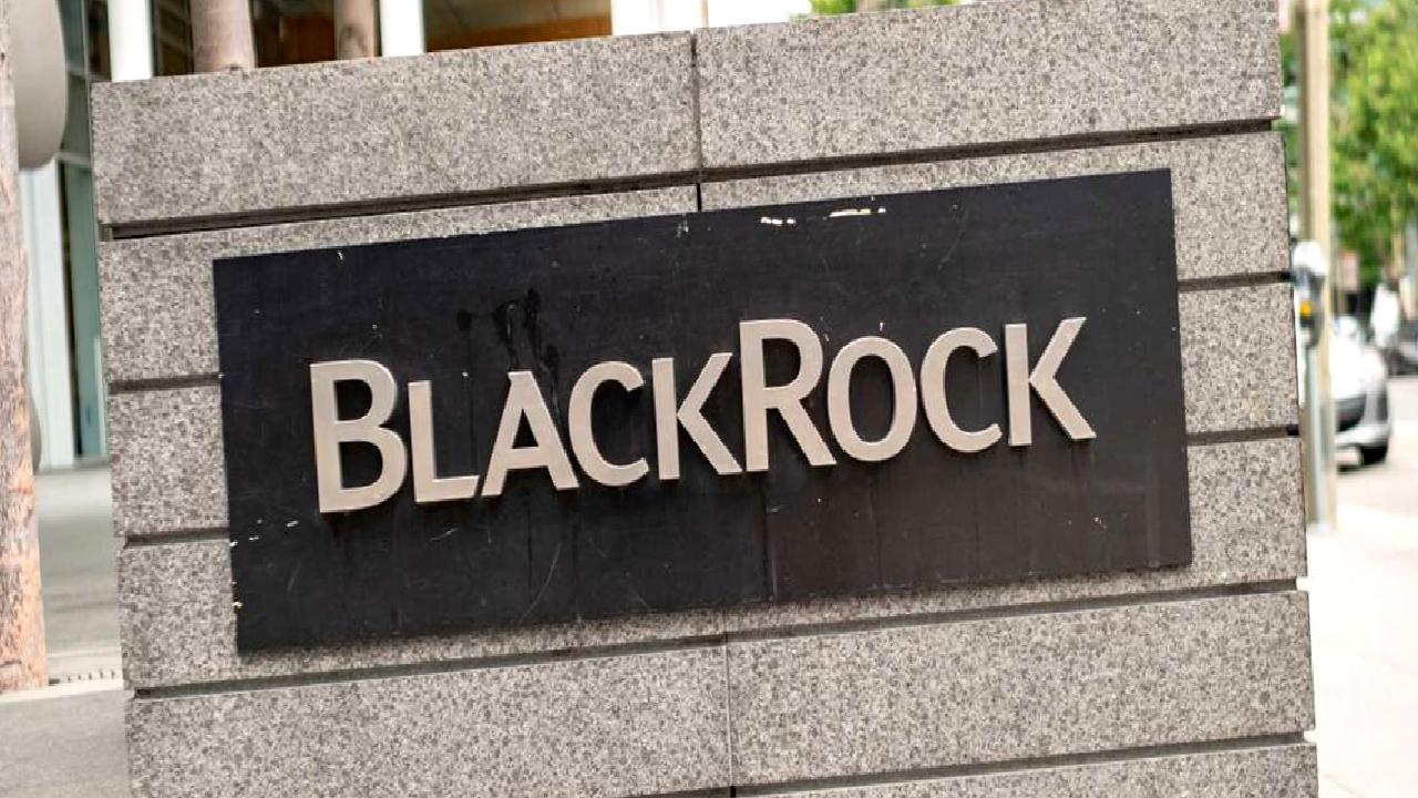 BlackRock'ın Spot Bitcoin ETF'sinin başarıları ve pazar üzerindeki etkileri, kripto