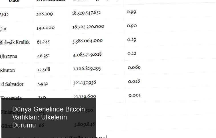 Bitcoin'in Küresel Durumu ve Ülkelerin Bitcoin Varlıkları