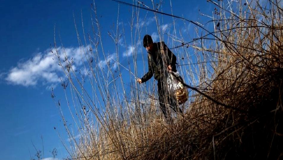 Ayvalık'ta düzenlenen operasyonla düzensiz göçmenlerin kurtarılması, insan hayatının korunması ve