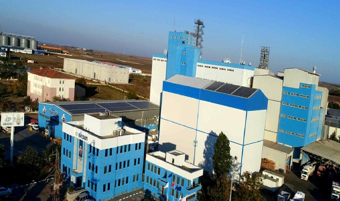 Eksun Gıda’nın 2024 Finansal Başarısı ve Sürdürülebilir Gelecek Vizyonu Eksun Gıda, 2024 finansal başarısını ve sürdürülebilir gelecek vizyonunu keşfedin.