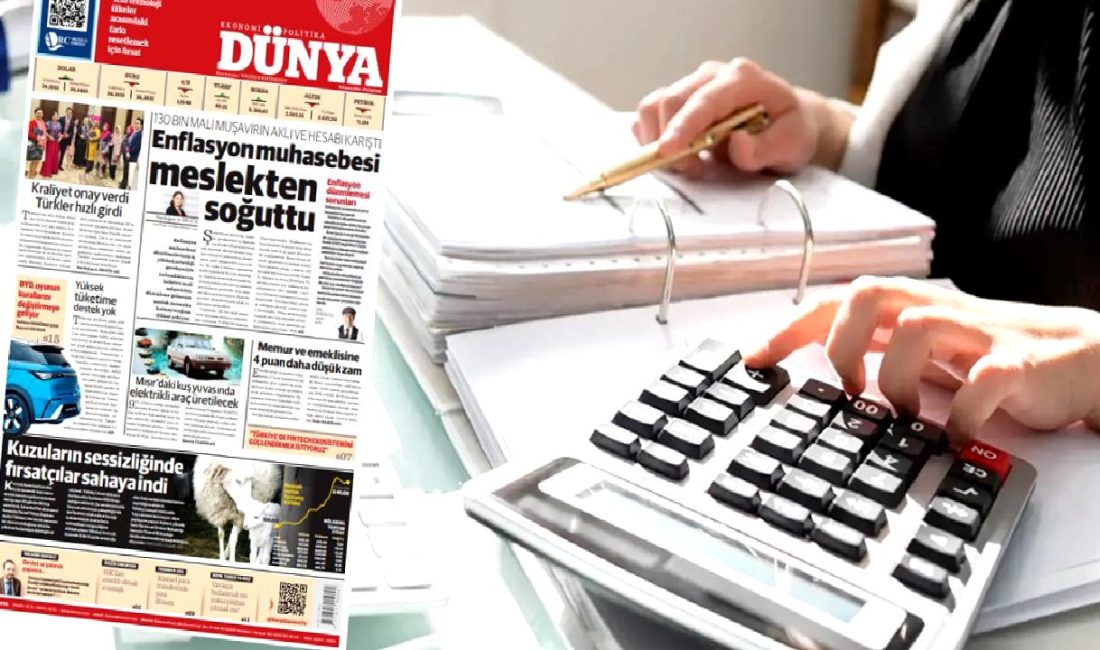 Enflasyon muhasebesi düzeltmesi tartışmaları, meslek mensuplarının karşılaştığı zorluklar ve bu