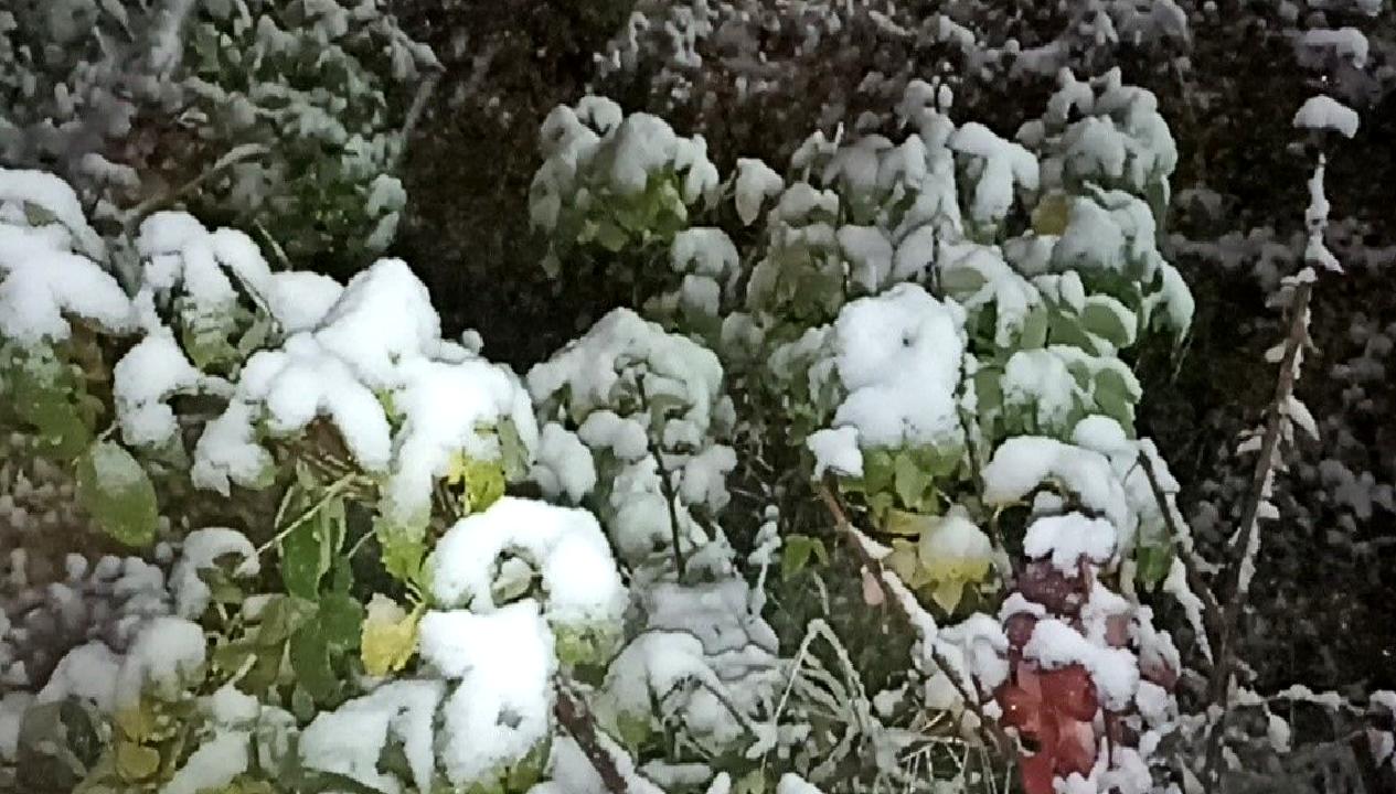 Erciş'te mevsimin ilk kar yağışı, çocukların yüzünü güldürdü. Bembeyaz örtüyle