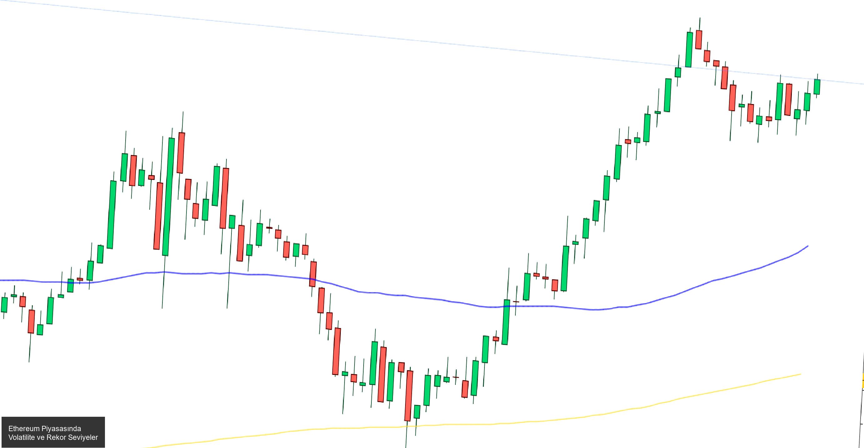Ethereum ve Altcoin Piyasasına Artan İlgi