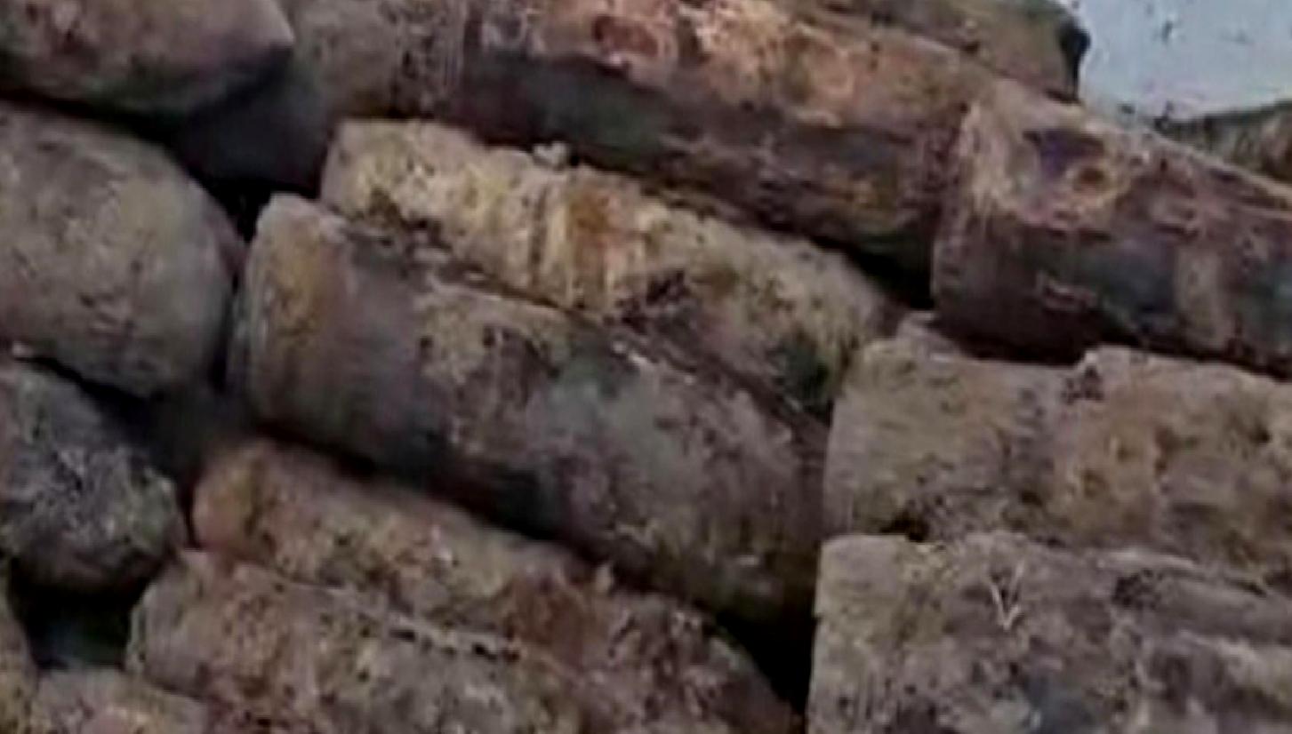 Gelibolu'da gerçekleştirilen kazılarda, Çanakkale Savaşları'na ait patlamamış top mermileri bulundu.