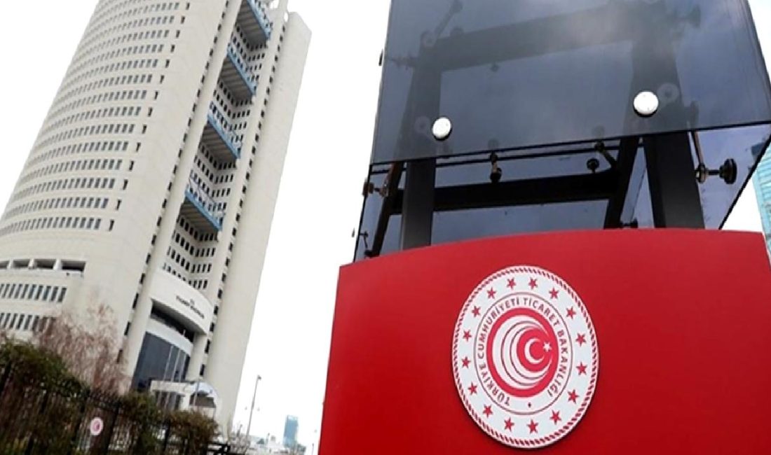 Gümrük Müşavir Yardımcıları ve Stajyerleri Derneği, mesleki zorluklar ve talepler