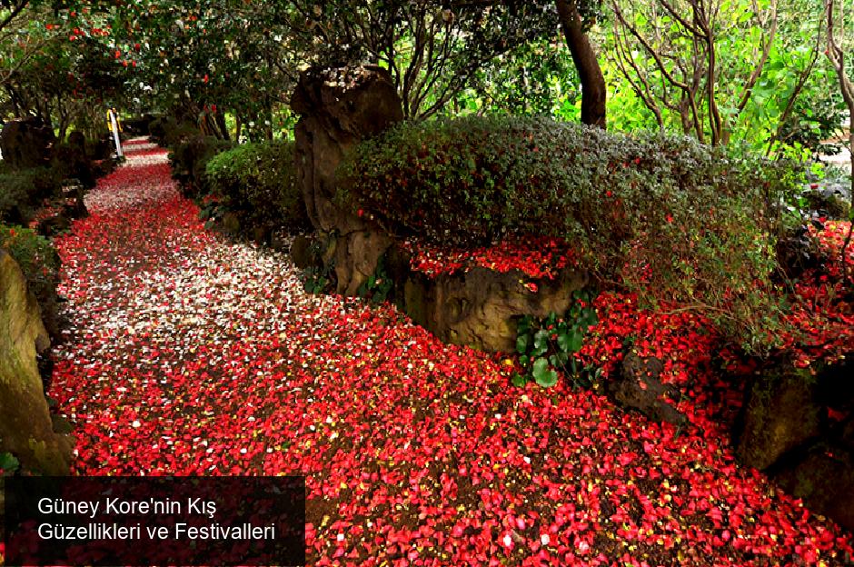 Güney Kore’nin Doğal Güzellikleri ve Kış Festivalleri