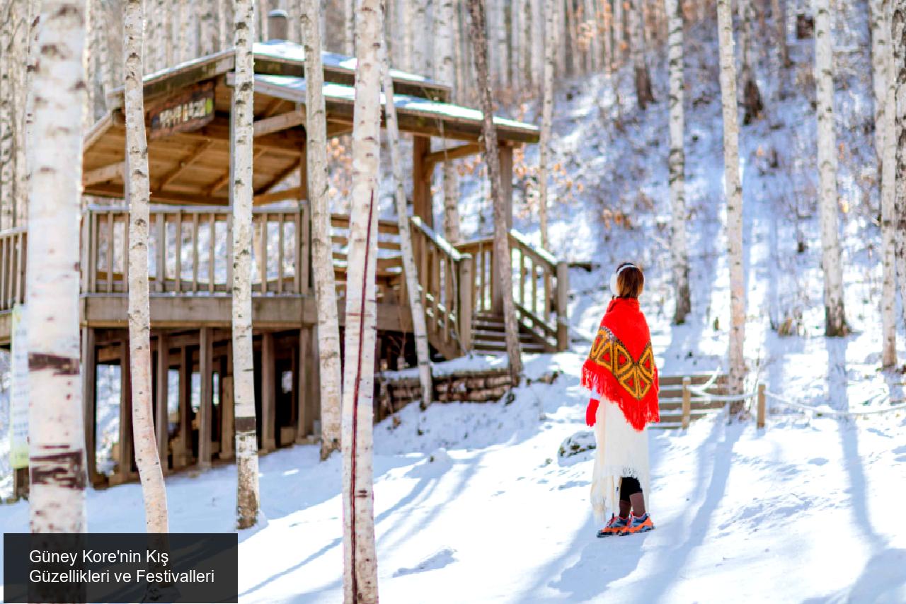 Güney Kore'nin Kış Güzellikleri ve Festivalleri