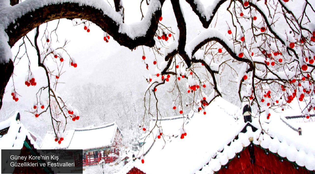 Güney Kore'nin Kış Güzellikleri ve Festivalleri