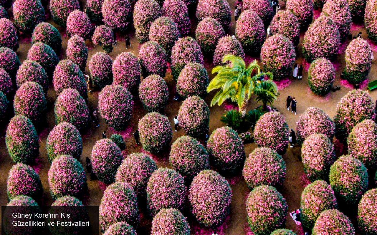 Güney Kore'nin Kış Güzellikleri ve Festivalleri
