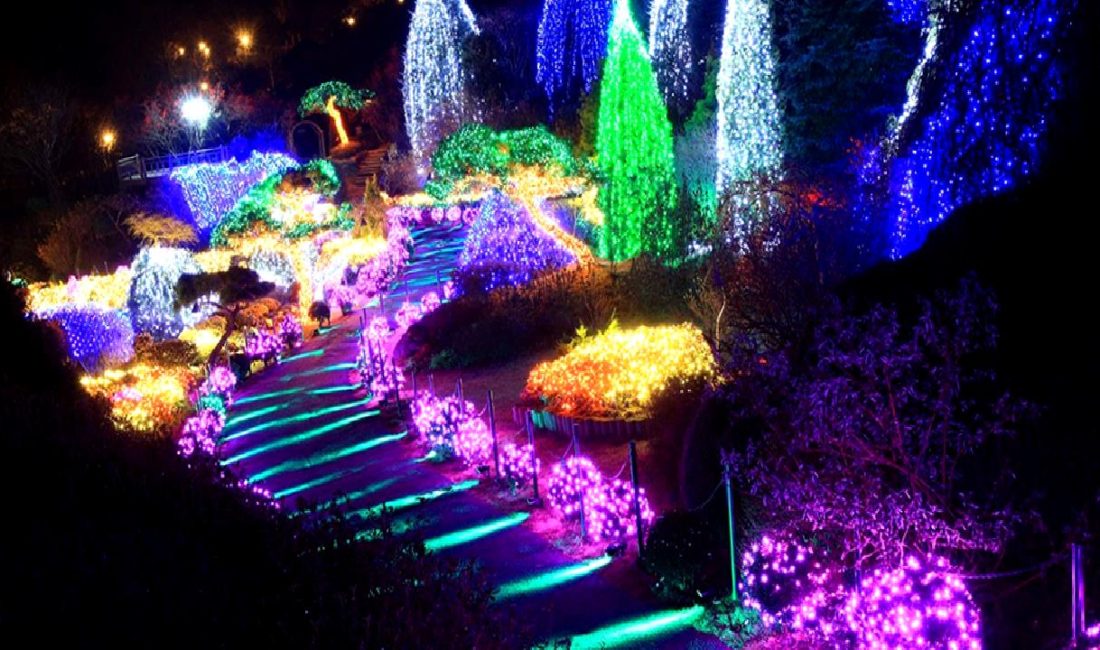 Güney Kore’nin Kış Güzellikleri ve Festivalleri Güney Kore'nin kış aylarında sunduğu eşsiz güzellikler ve renkli festivaller