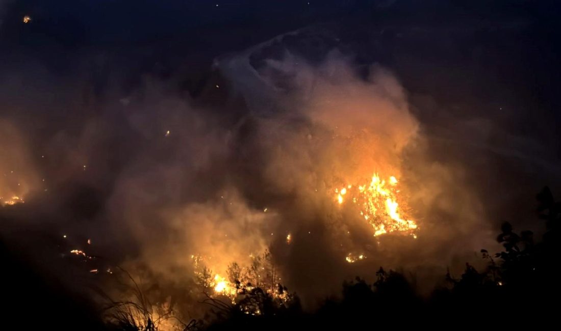 Hatay ve Bilecik’te Orman Yangınları Kontrol Altına Alındı Hatay ve Bilecik'te meydana gelen orman yangınları, ekiplerin yoğun çalışmaları