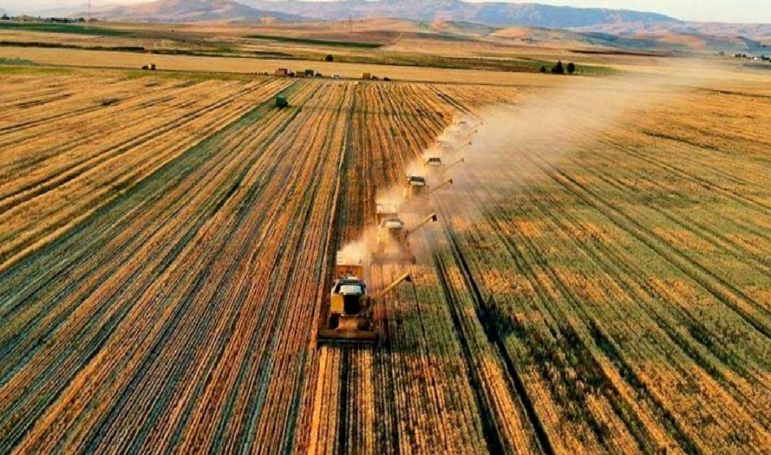 İklim değişikliği, tarımsal üretimi derinden etkileyerek gıda güvenliğini tehdit ediyor.