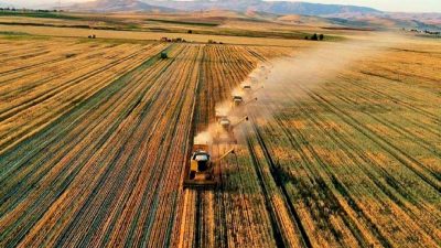 İklim değişikliği, tarımsal üretimi derinden etkileyerek gıda güvenliğini tehdit ediyor.