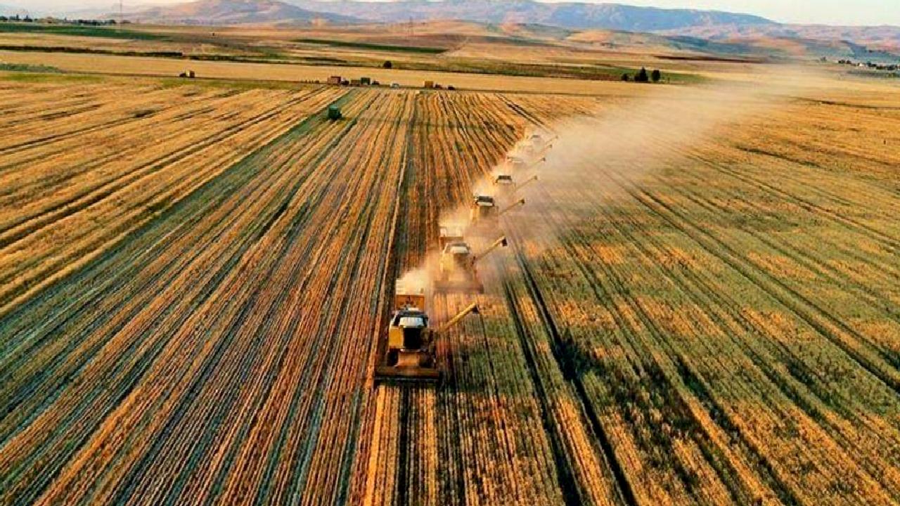 İklim değişikliği, tarımsal üretimi derinden etkileyerek gıda güvenliğini tehdit ediyor.