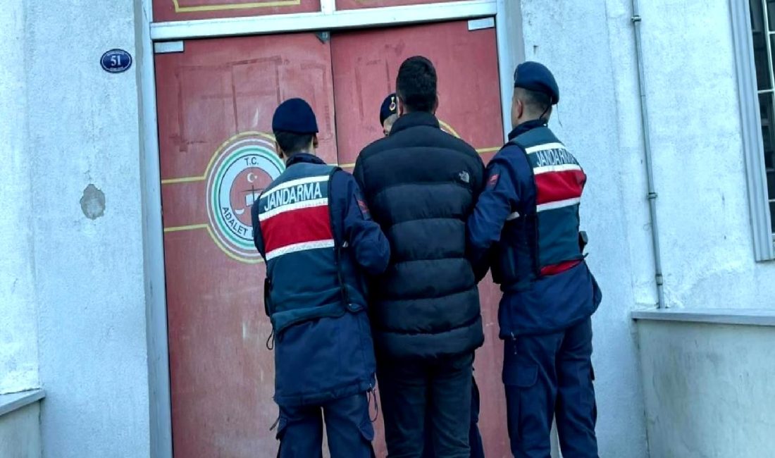 İzinsiz orman emvali kesimi ihbarları üzerine başlatılan operasyonlarda gözaltına alınan