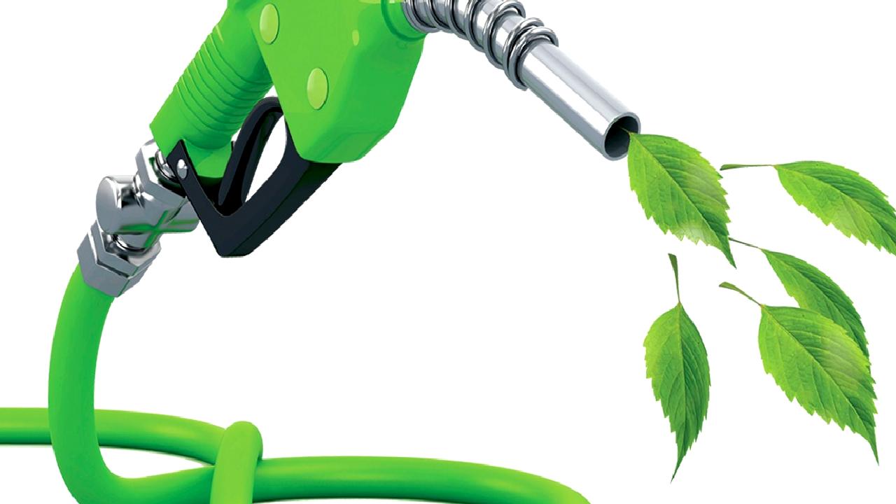 Karbon riski ve fosil yakıt yatırımlarının BIST 100 üzerindeki etkilerini