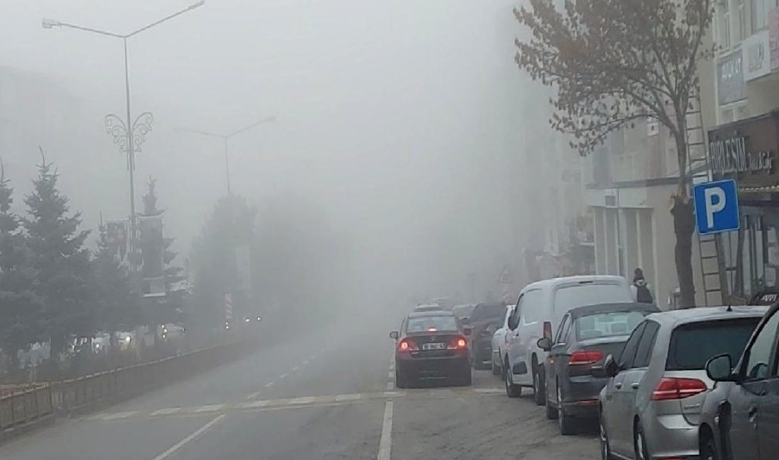 Kış Lastiği Uygulaması ve Zorunlulukları Kış lastiği uygulaması ve zorunlulukları hakkında bilgilendirici bir rehber. Kış