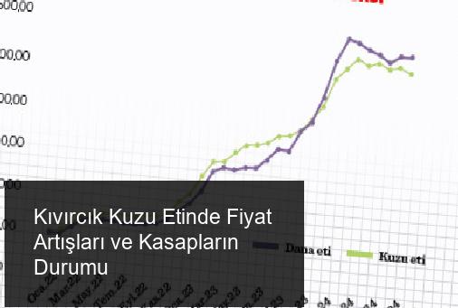 Mehmet Hanifi GÜLEL