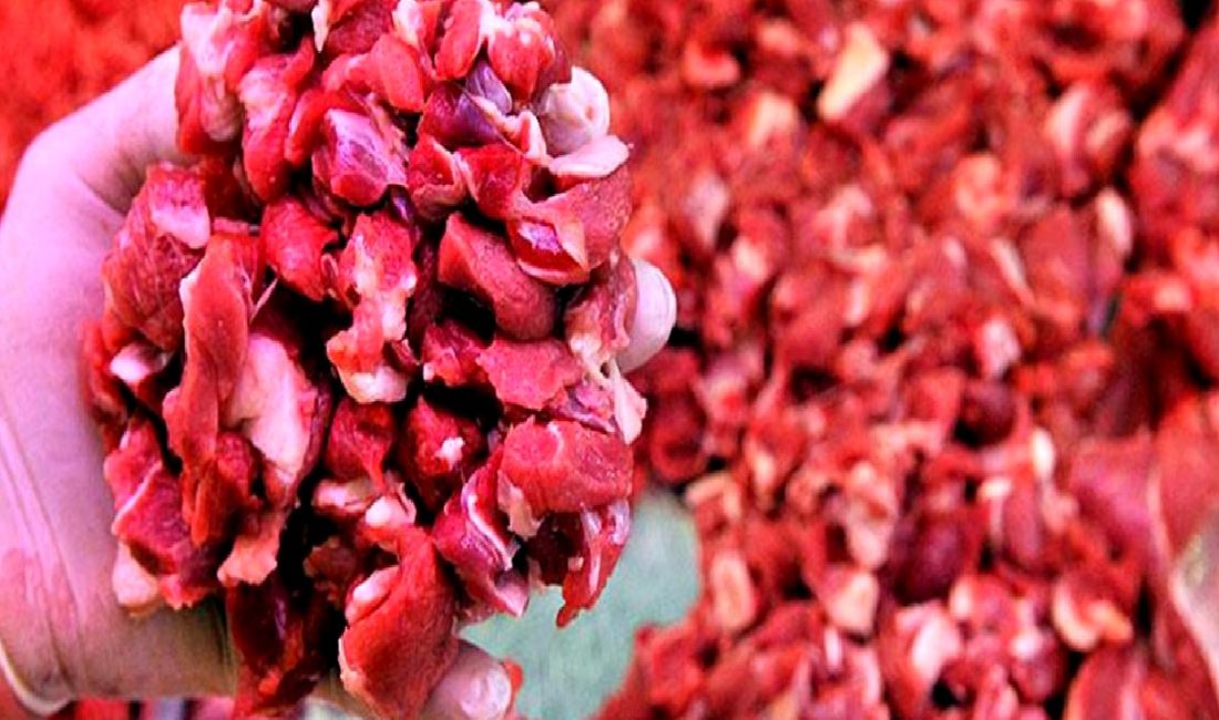 Kıvırcık Kuzu Etinde Fiyat Artışları ve Kasapların Durumu Kıvırcık kuzu etinde son dönemlerdeki fiyat artışlarının sebeplerini ve kasapların