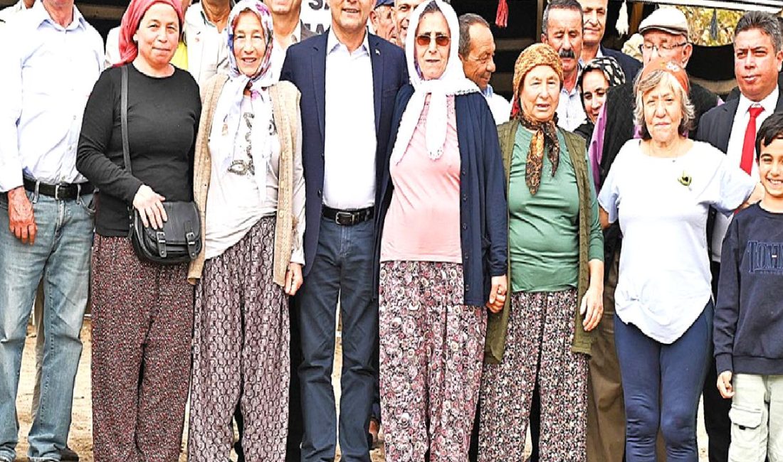 Manavgat'ta ilk kez düzenlenen Zeytin ve Zeytinyağı Festivali, zeytin severleri