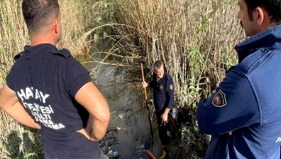 Samandağ'da yağmur suyu giderinde mahsur kalan yavru köpekler, yapılan başarılı