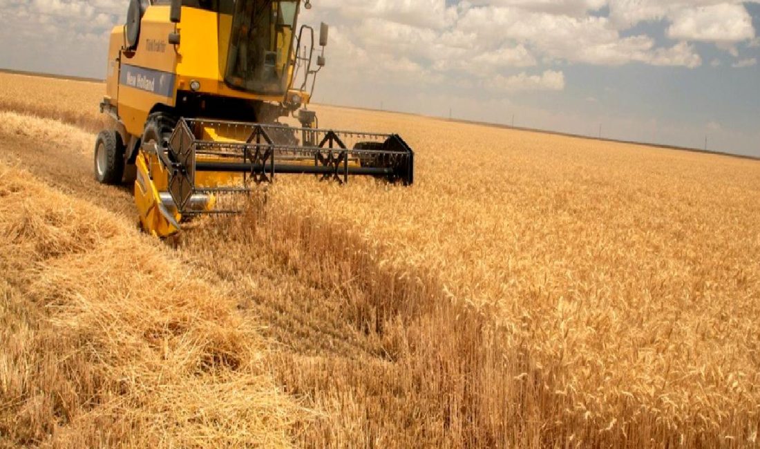 Tarım ve Finansman: Lisanslı Depoculuğun Rolü ve Önemi Tarım ve finansman arasındaki dengeyi sağlamak için lisanslı depoculuğun önemi