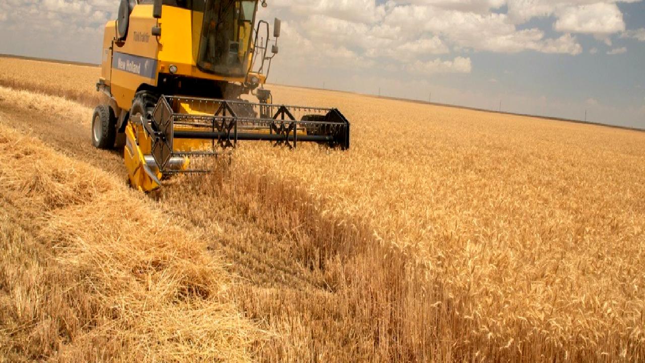 Tarım ve finansman arasındaki dengeyi sağlamak için lisanslı depoculuğun önemi