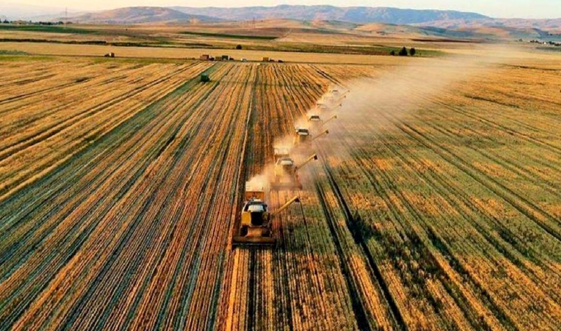 Tarım ve Orman Bakanı İbrahim Yumaklı’nın Yozgat’taki Ziyareti ve Sokak Hayvanları Üzerine Açıklamaları Tarım ve Orman Bakanı İbrahim Yumaklı, Yozgat'taki ziyareti sırasında sokak