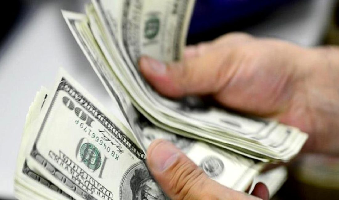 22 Kasım 2024 tarihi itibarıyla TCMB Dolar ve Euro kurlarını