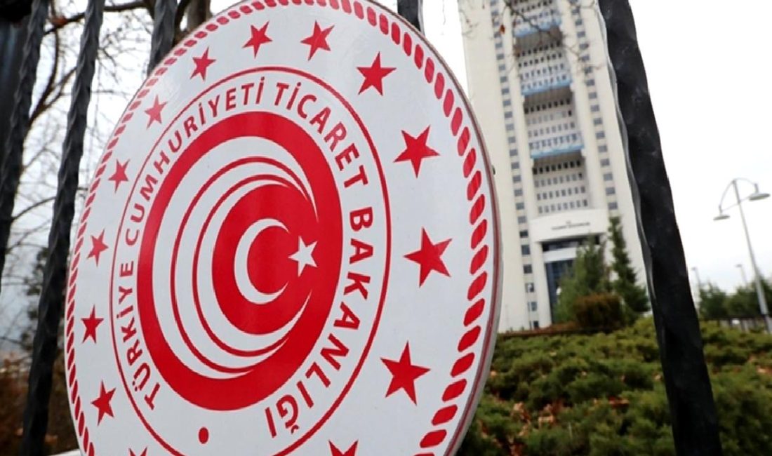 Ticaret Bakanlığı, e-ihracat süreçlerini kolaylaştırmak amacıyla kapsamlı bir rehber yayınladı.