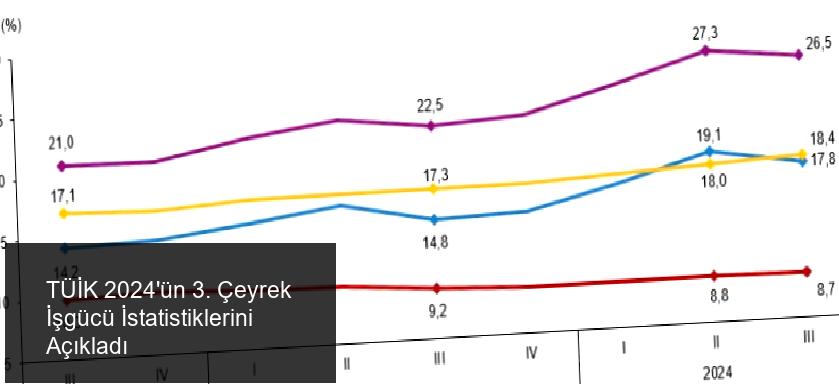 TÜİK 2024'ün 3. Çeyrek İşgücü İstatistiklerini Açıkladı