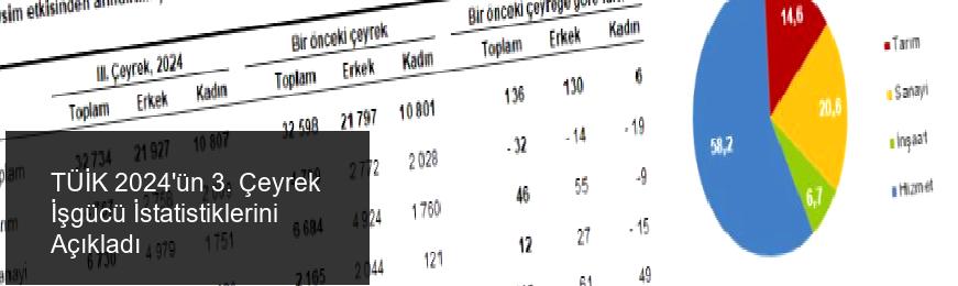 TÜİK 2024'ün 3. Çeyrek İşgücü İstatistiklerini Açıkladı