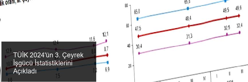 TÜİK 2024'ün 3. Çeyrek İşgücü İstatistiklerini Açıkladı