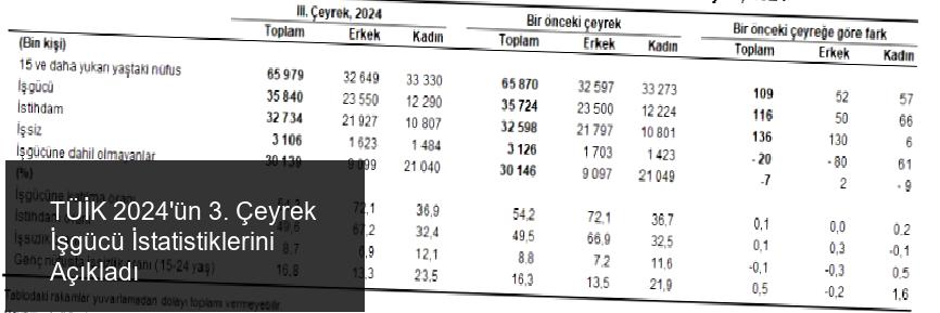 TÜİK 2024'ün 3. Çeyrek İşgücü İstatistiklerini Açıkladı