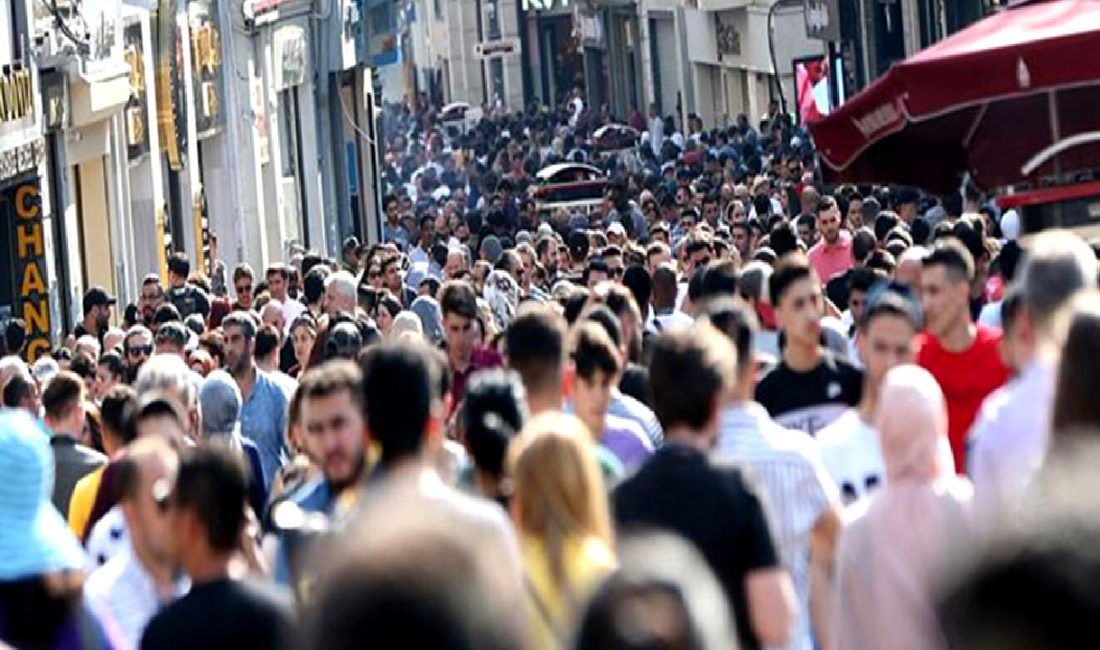 TÜİK 2024’ün 3. Çeyrek İşgücü İstatistiklerini Açıkladı TÜİK, 2024'ün 3. çeyrek işgücü istatistiklerini açıkladı. İşsizlik oranları, istihdam