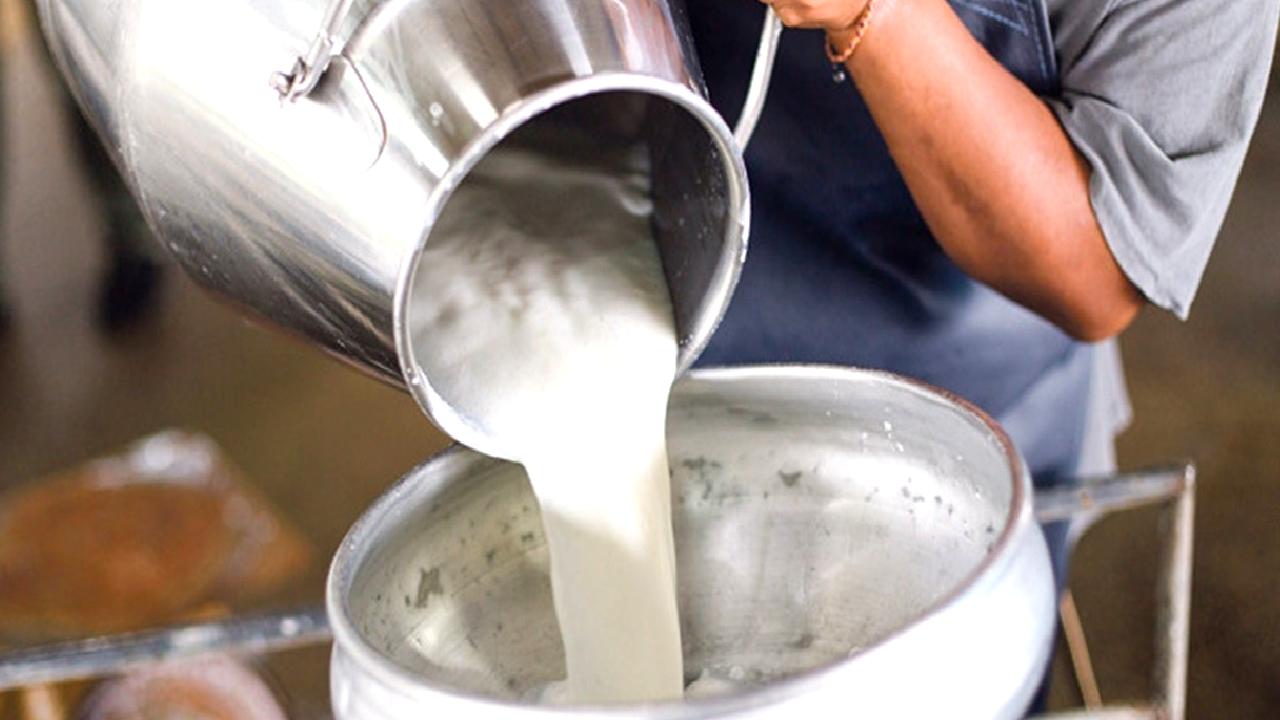 TÜİK Eylül 2023 süt ürünleri üretim verileri ile sektörün güncel