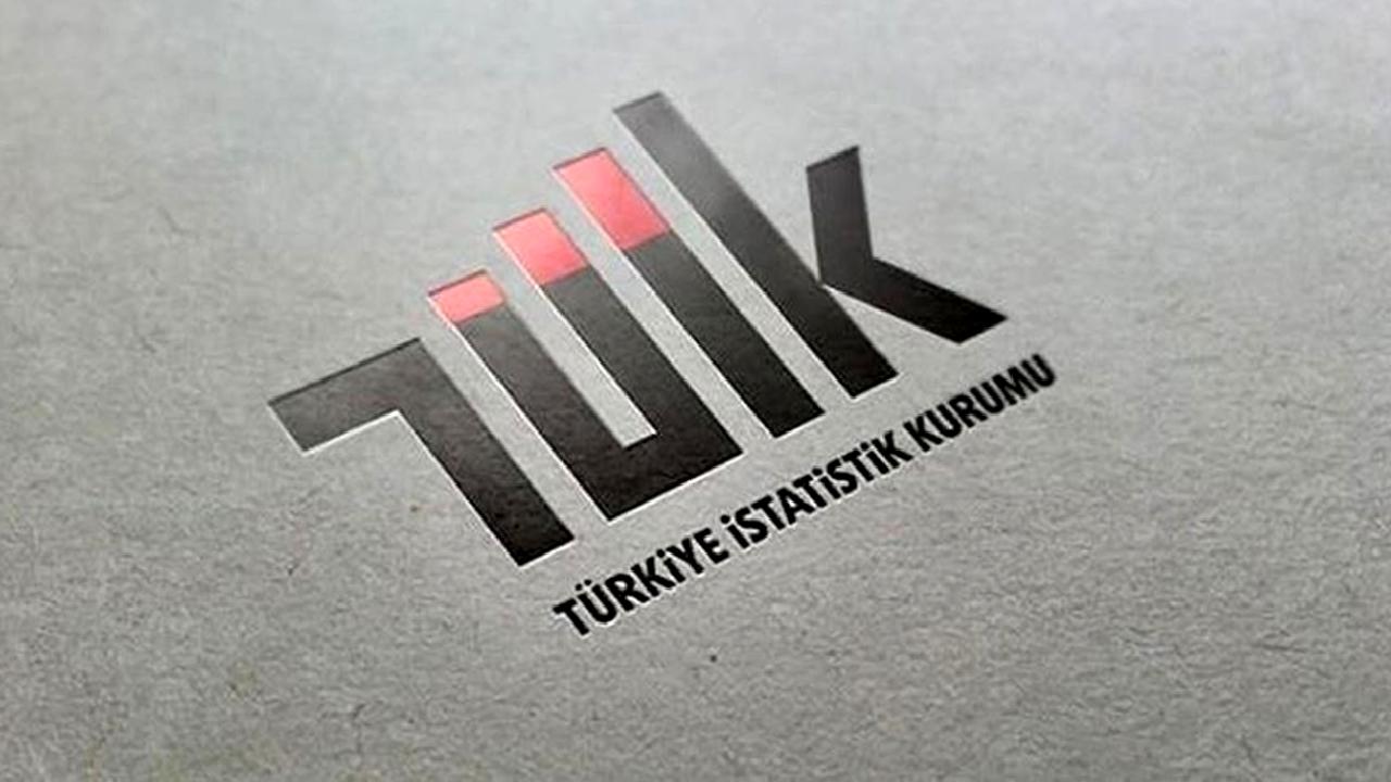 TÜİK'in görevleri ve Genel Tarım Sayımı'nın önemi hakkında detaylı bir