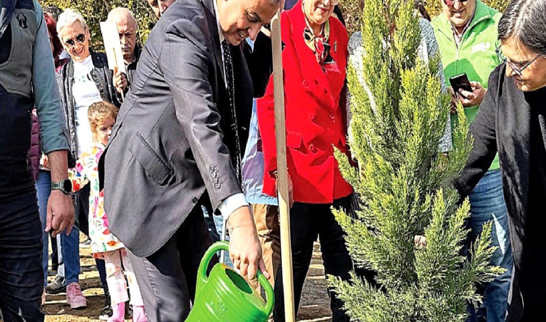 Türkiye İş Bankası, 81 ilde 81 Orman Projesi ile çevreye