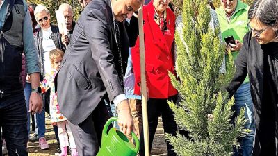 Türkiye İş Bankası, 81 ilde 81 Orman Projesi ile çevreye