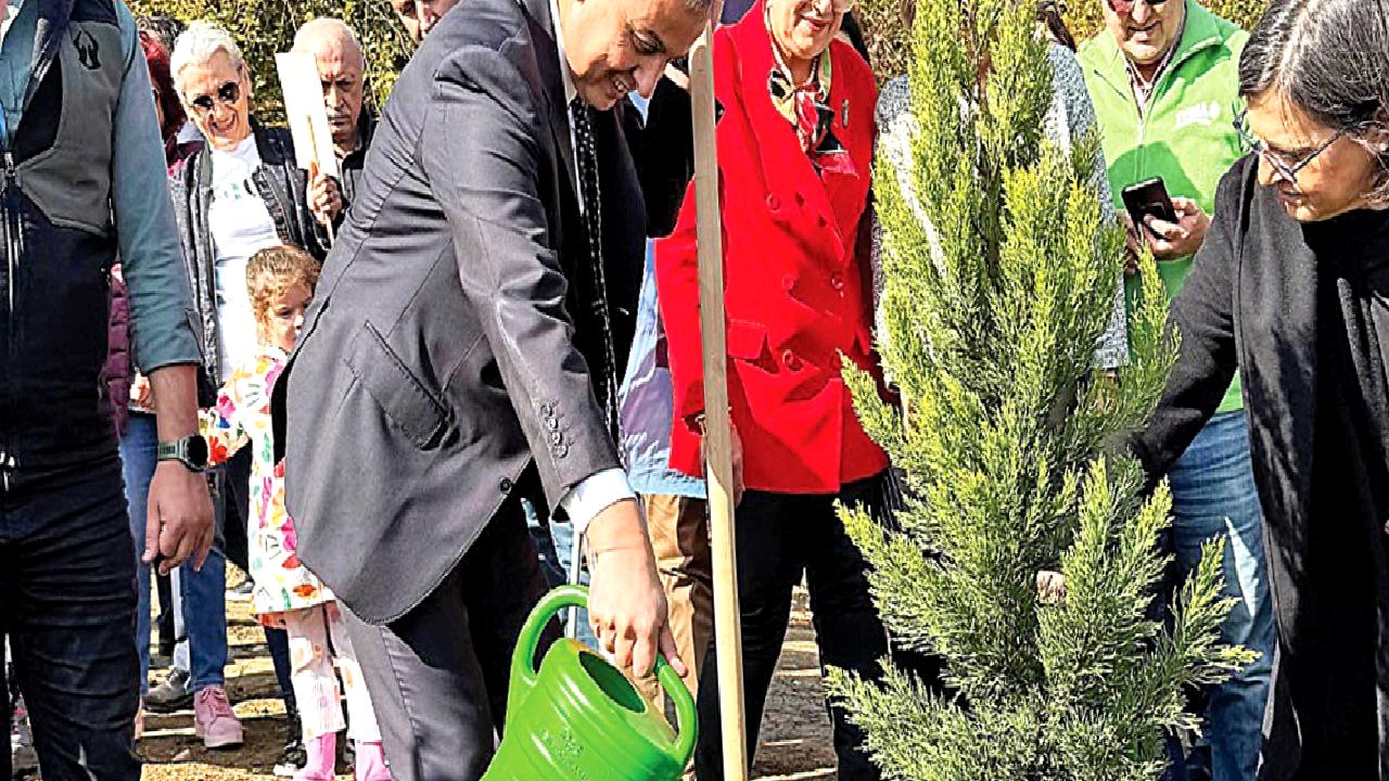 Türkiye İş Bankası, 81 ilde 81 Orman Projesi ile çevreye