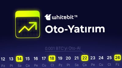 Yatırımcılar için kripto piyasalarında etkili oto-yatırım stratejilerini keşfedin. Riskleri azaltarak,