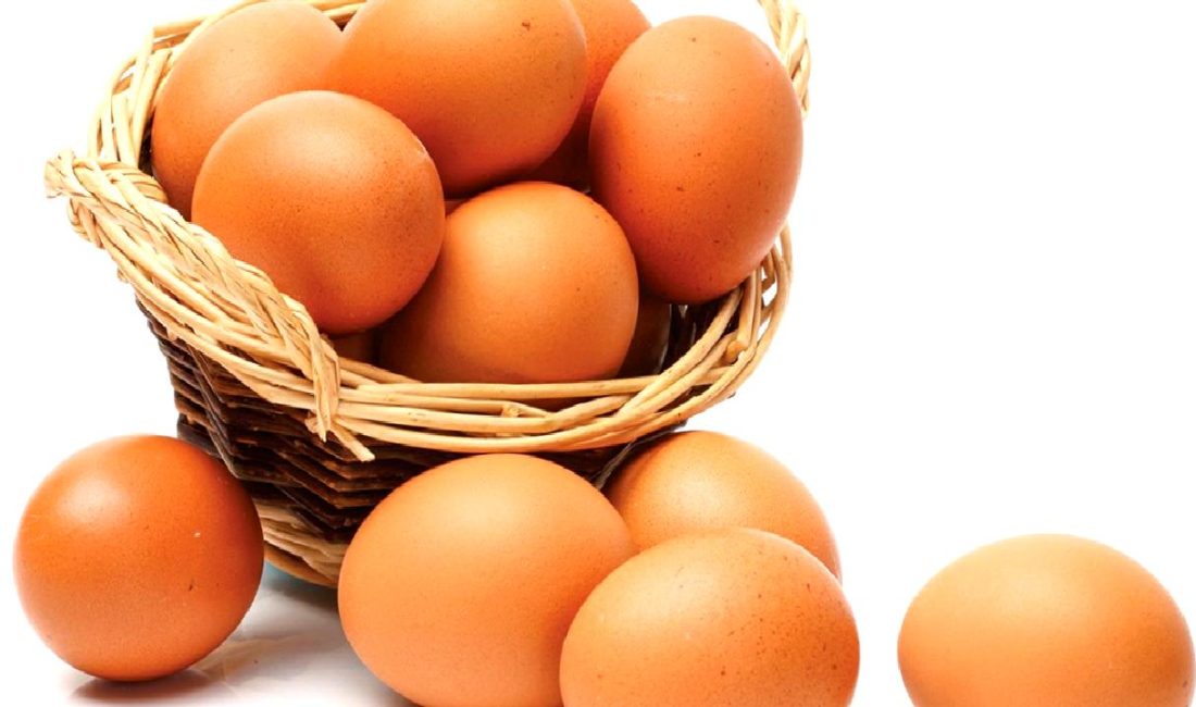 Yumurta fiyatlarındaki artışın sebeplerini ve kuş gribinin bu duruma olan