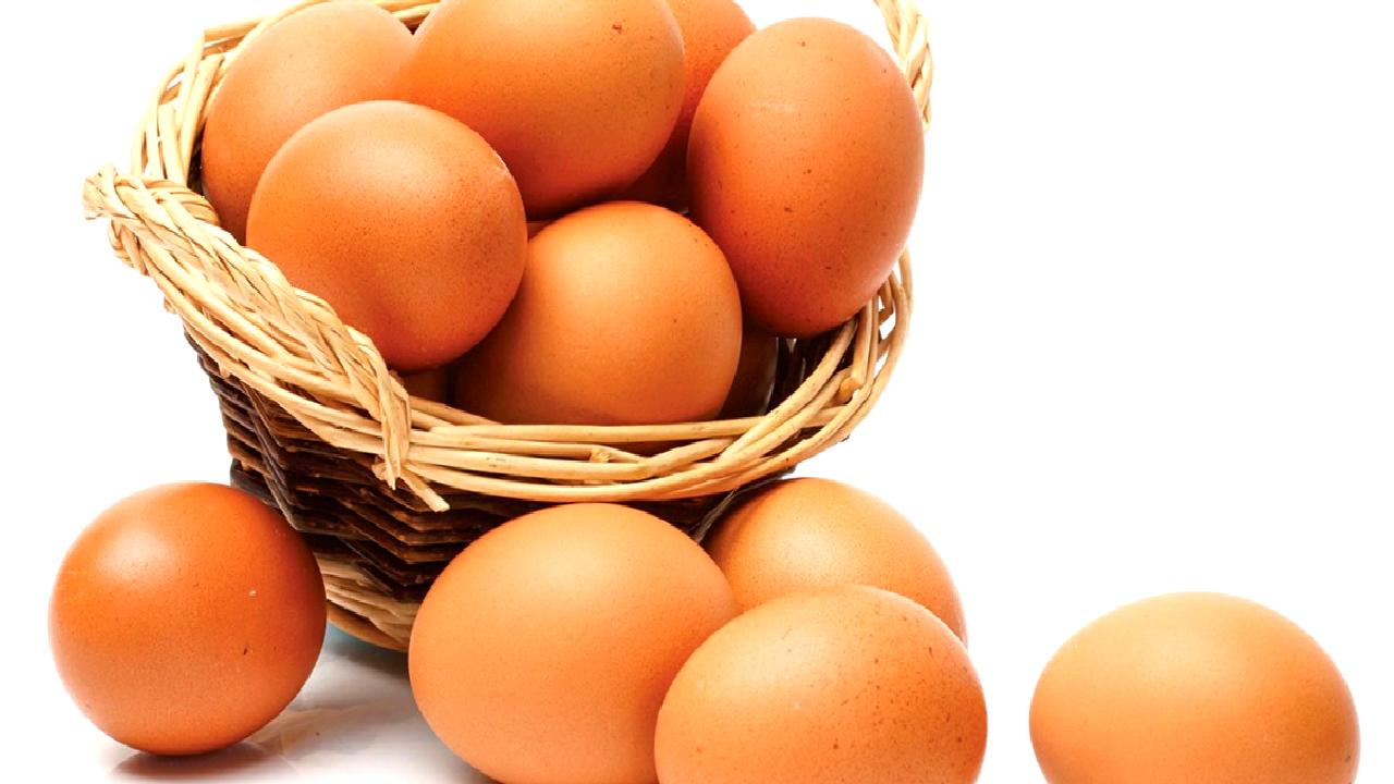 Yumurta fiyatlarındaki artışın sebeplerini ve kuş gribinin bu duruma olan