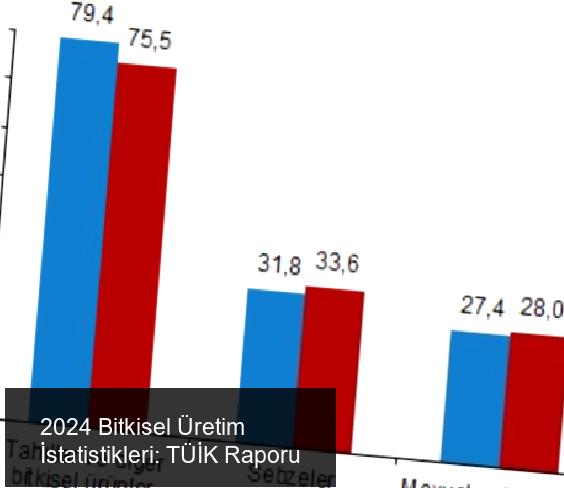 Türkiye İstatistik Kurumu (TÜİK) 2024 Bitkisel Üretim İstatistikleri