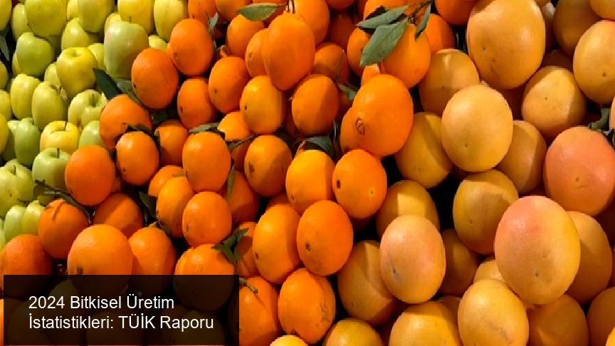 Tahıl Üretimi 2024 Yılında Azaldı