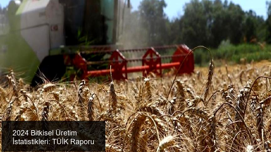 Süs Bitkileri Üretiminde Düşüş Yaşandı